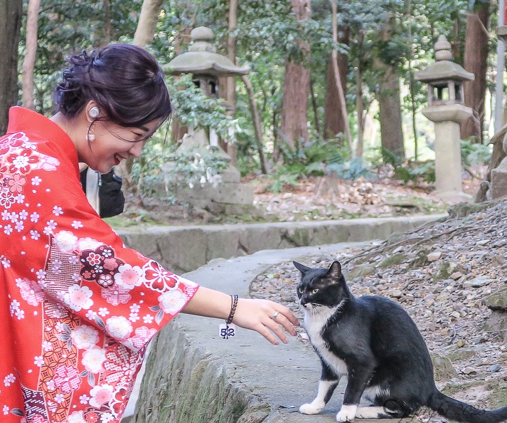 Kimono et chaton.JPG