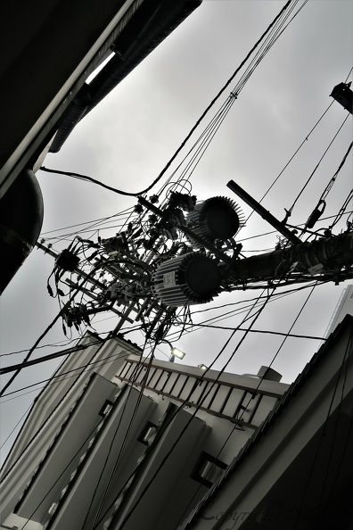 IMG_6708 Osaka à Dôtonbori imbroglio électrique.JPG