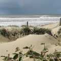 dune landaise