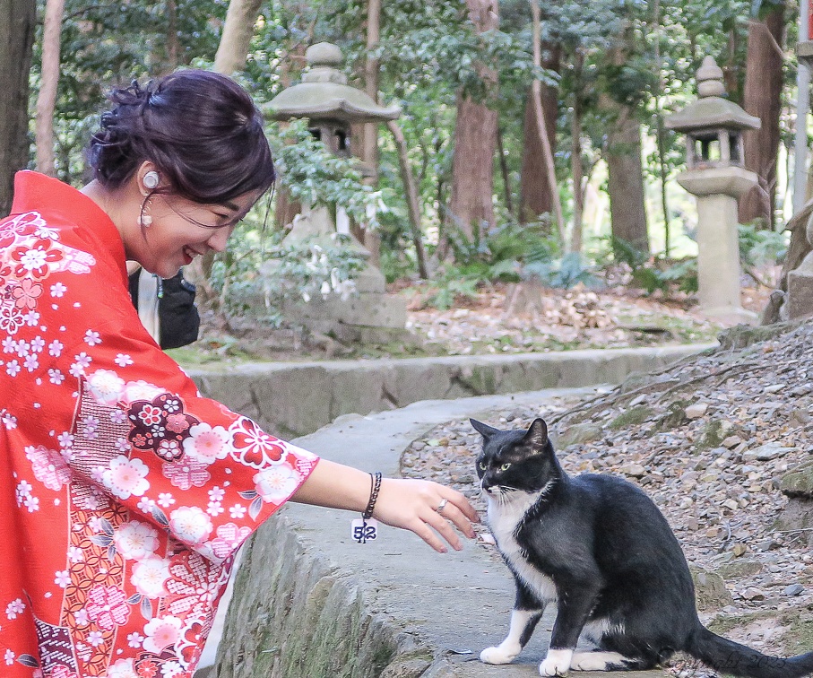 Kimono et chaton