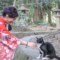 Kimono et chaton.JPG