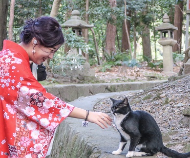 Kimono et chaton