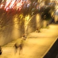 IMG 7126