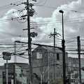 Tokyo confusion électrique