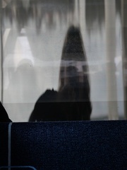 reflet du photographe 