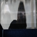 reflet du photographe 