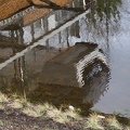 A l'envers ....sortie de l'eau 