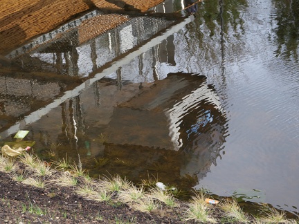 A l'envers ....sortie de l'eau 