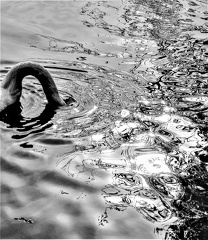 Mais où ai-je la tête